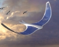flapwing
